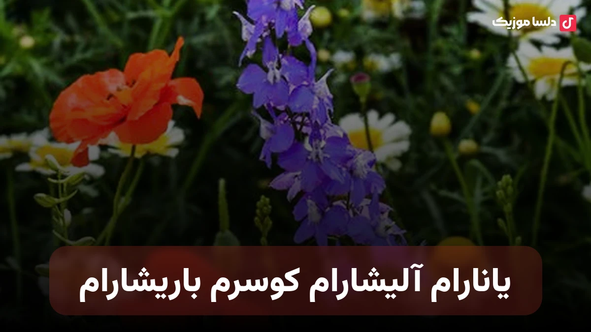 یانارام آلیشارام کوسرم باریشارام ترکی صدای زن